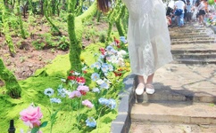 三十分钟让你桶个够软件